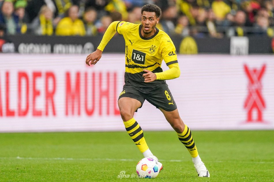 进一步丰富 进一步丰富