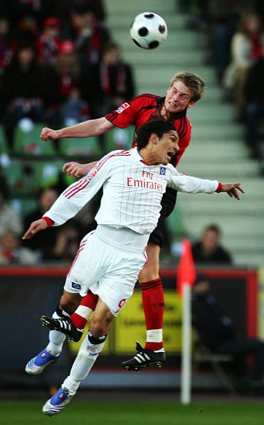 提供了一个 提供了一个