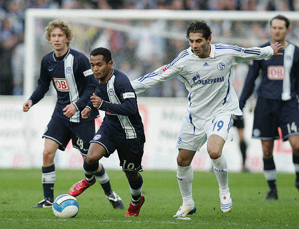 的适应期都 的适应期都